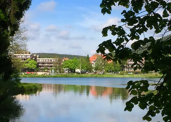 Seesicht Appartements Am Kranichsee