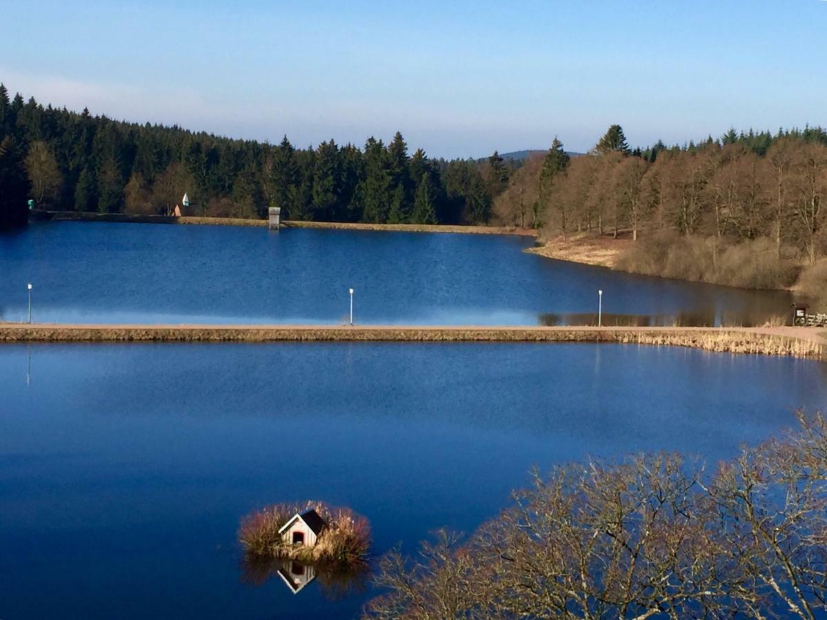 Seesicht Am Kranichsee *