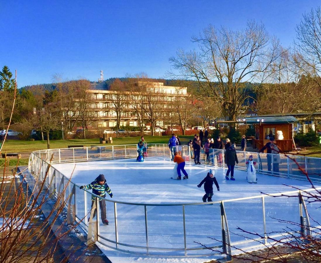 Seesicht Am Kranichsee Goslar