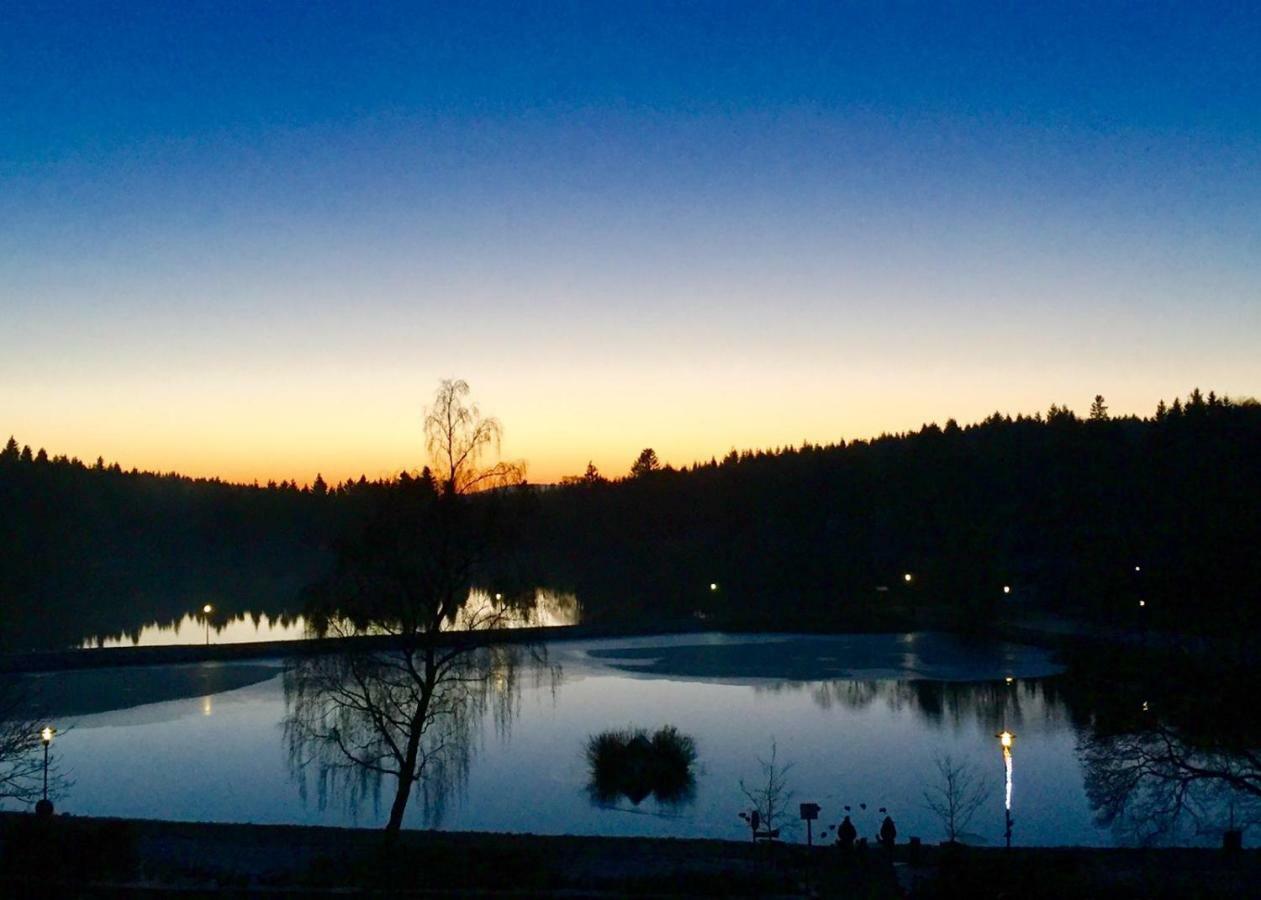 Seesicht Am Kranichsee * Goslar
