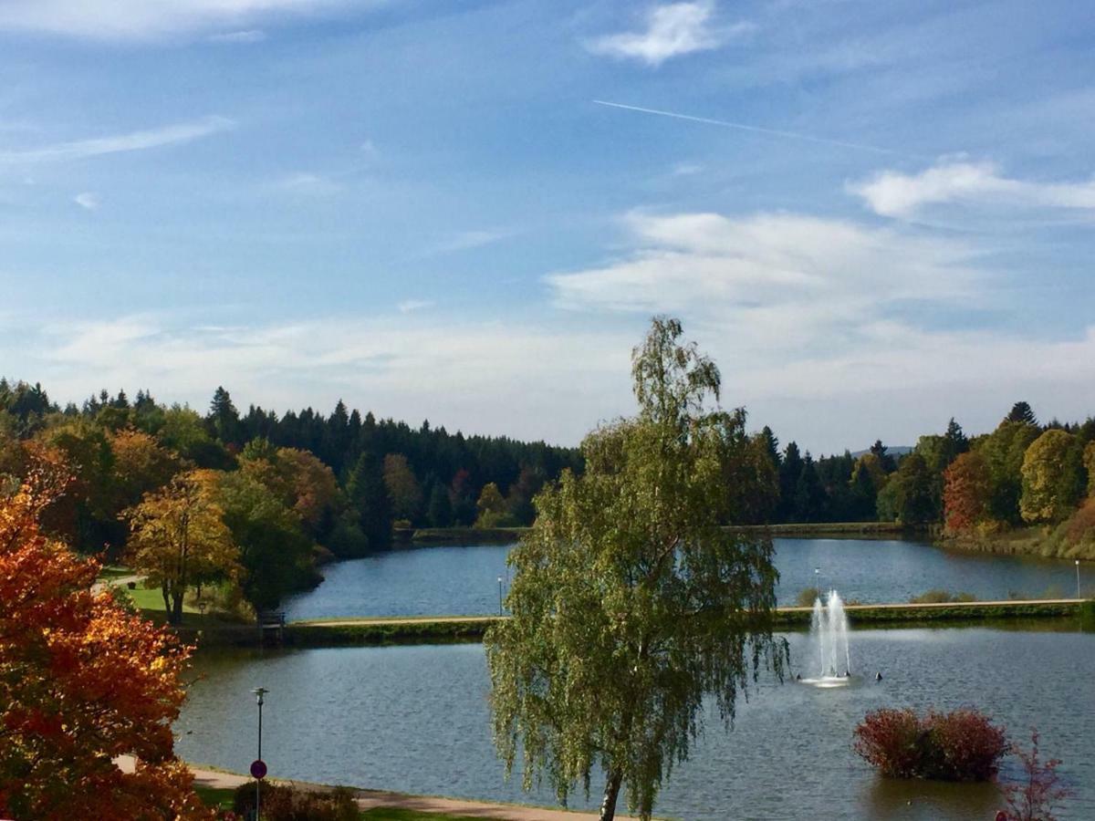 Apartment Seesicht Am Kranichsee Goslar